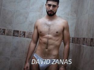 DAVID_ZANAS Porn Star