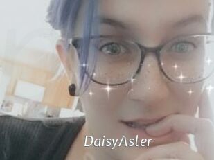 DaisyAster