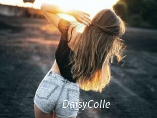 DaisyColle