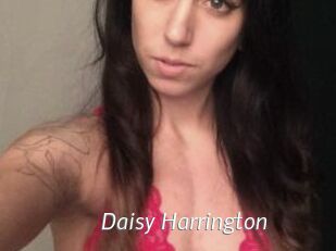 Daisy_Harrington