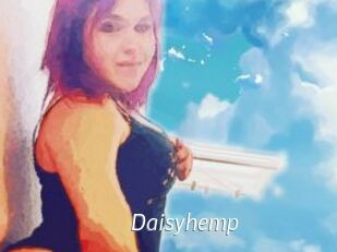 Daisy_hemp