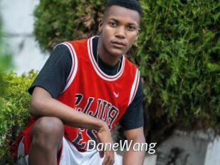 DaneWang