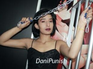 DaniPunish
