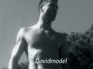 Davidmodel