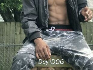 Day1DOG