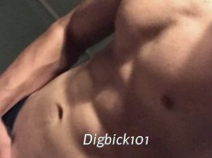 Digbick101