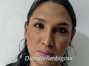 DiosaVellenbigaxx