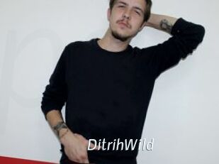 DitrihWild