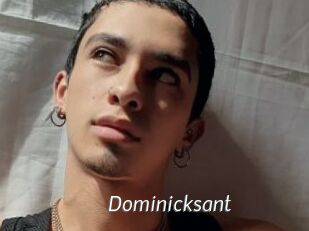 Dominicksant