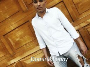 Dominikbunny