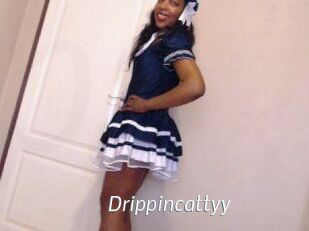 Drippincattyy
