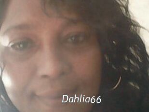 Dahlia66