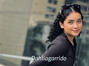 Dahliagarrido