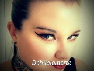 Dahlialamorte