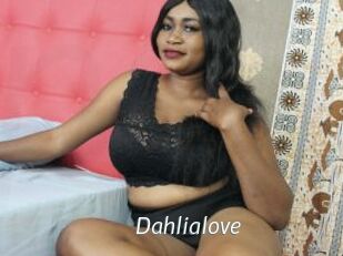 Dahlialove