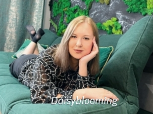 Daisyblooming