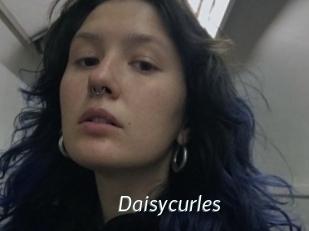 Daisycurles