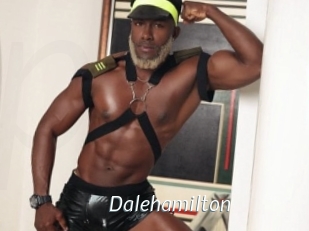 dalehamilton Porn Star
