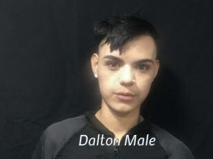 Dalton_Male