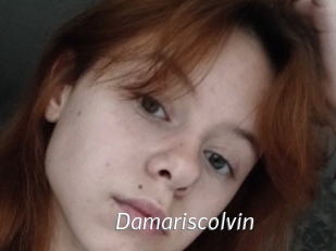 Damariscolvin