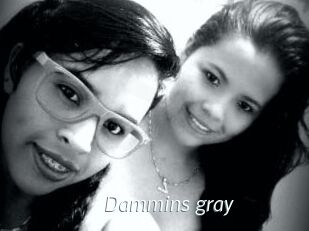 Dammins_gray