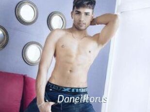 Daneil_torus