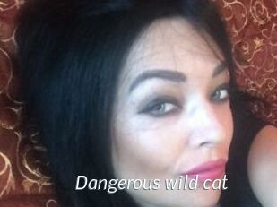 dangerous_wild_cat Porn Star