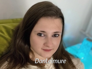 Dantelmure
