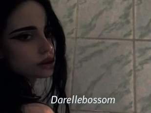 Darellebossom