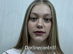 Darlinecantrill