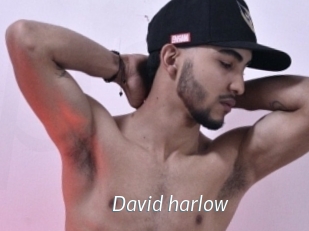 David_harlow