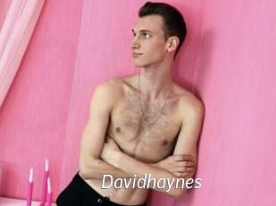 Davidhaynes