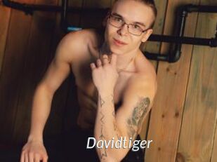 Davidtiger