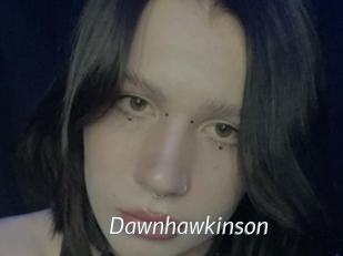 Dawnhawkinson