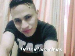 Destructordealmas