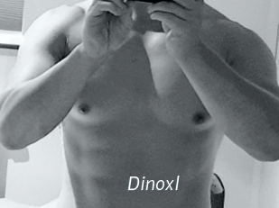 Dinoxl