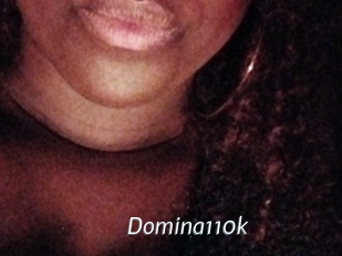 Domina110k