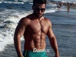 Domluc