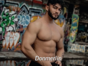 Donmerlin