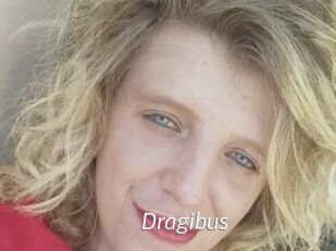 Dragibus