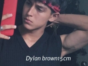 Dylan_brown15cm