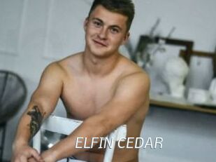 ELFIN_CEDAR