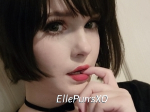 EllePurrsXO