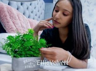 EllieVelvett