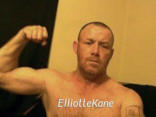 Elliotte_Kane