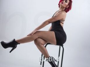 EvaBird