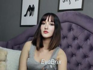 EvaBrix