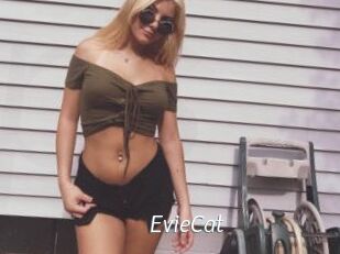EvieCat