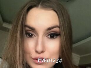 Evka1234