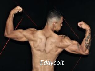Eddycolt